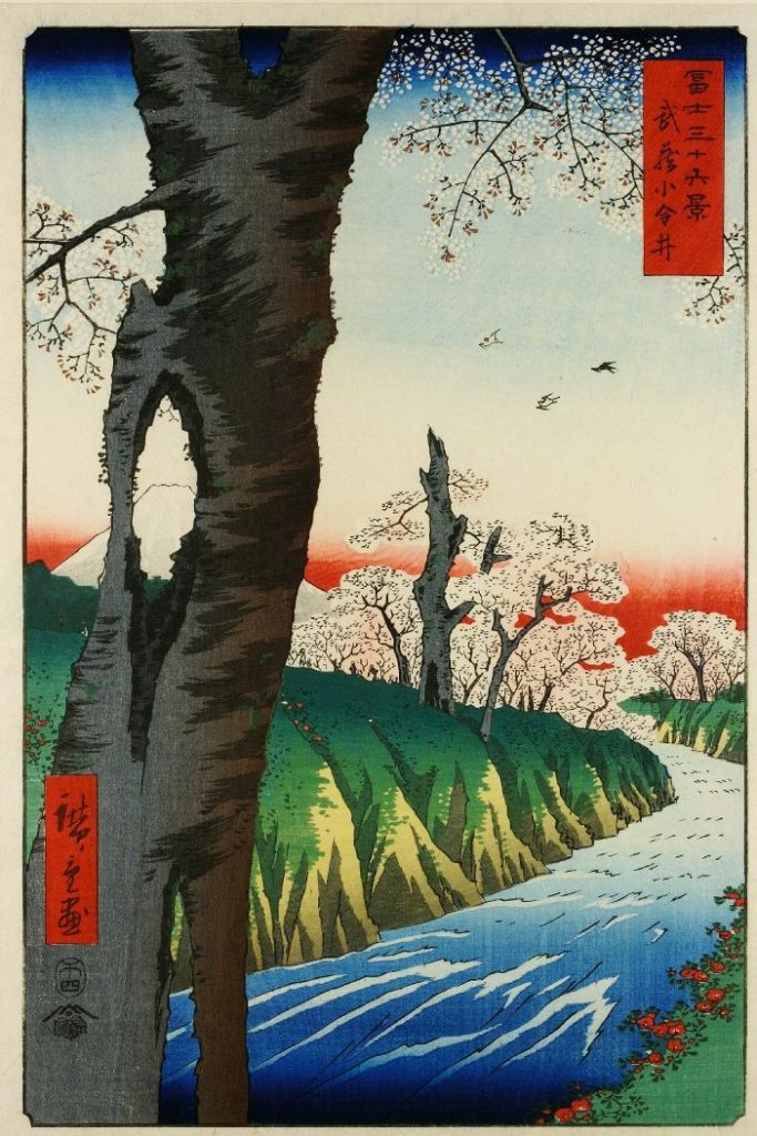 「富士三十六景　武蔵小金井」（歌川広重、1858　大英博物館）の画像。